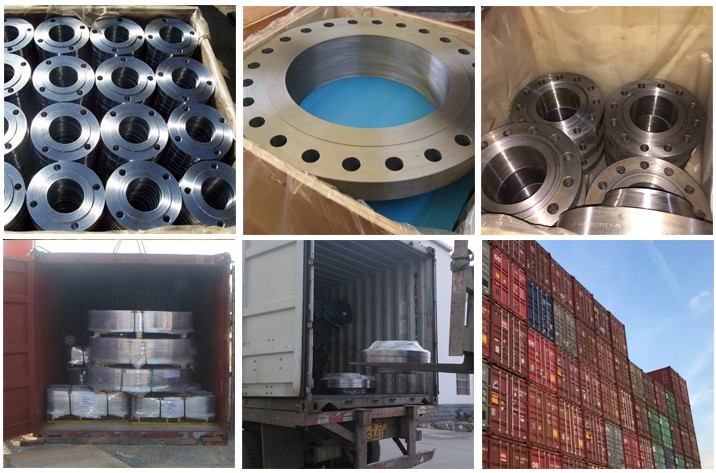 BL Flange Raising Face ANSI B16.5 Class 300 Forged Flange Blind Flange Black Painting