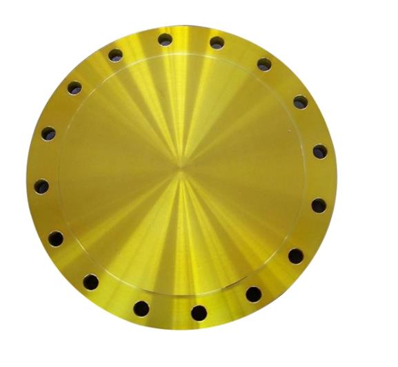 BL Flange Raising Face ANSI B16.5 Class 300 Forged Flange Blind Flange Black Painting