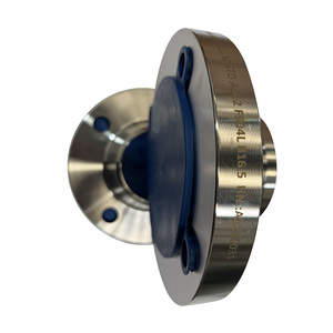 Stainless Steel Weld Neck Pipe Flange