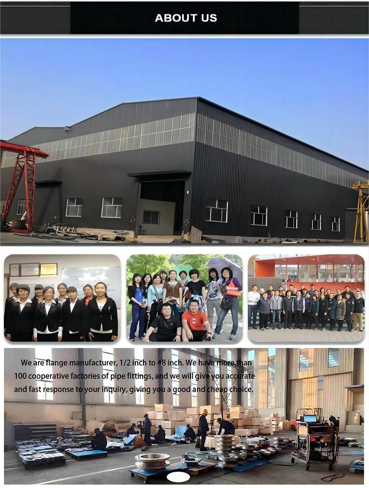 Forged CNC ASME B16.5 Class 150/300/600 SCH STD RF Stainless Steel Weld Neck Flange 1/2-24