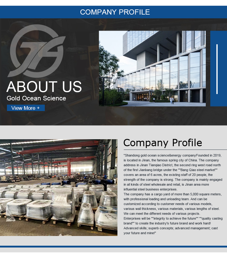 Company Profile View 1