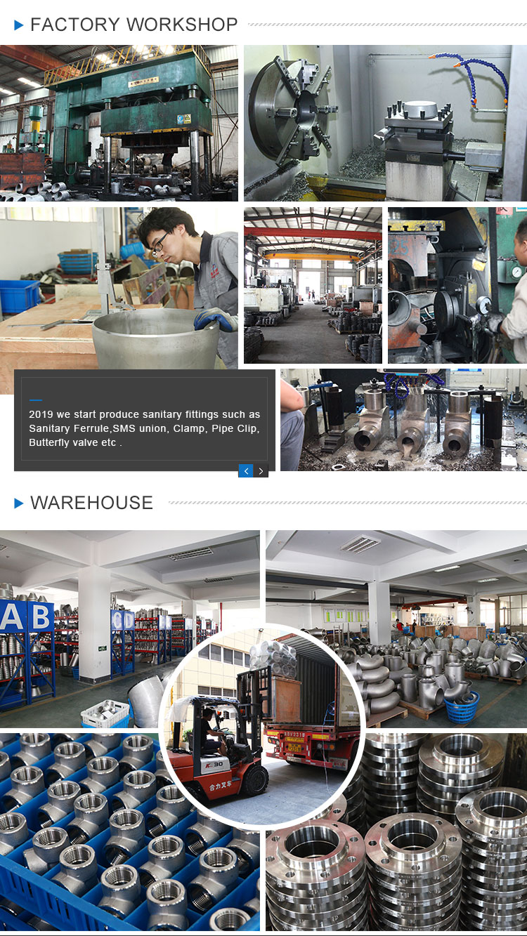 ANSI JIS ASME DIN ISO GB JPI Compliant Stainless Steel Weld Neck Pipe Flange