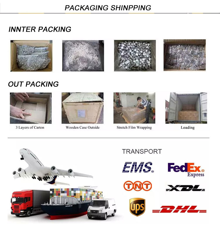 Galvanized/Plain Steel Hex Bolts DIN933 M4-M24 8.8 Grade for Door & Roof Applications