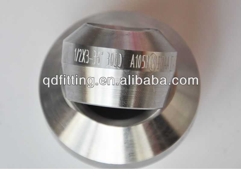 Nipolet Threadolet Raccords Weldolet Socketolet Stainless Steel A182 316 Forged Weldolet Fittings