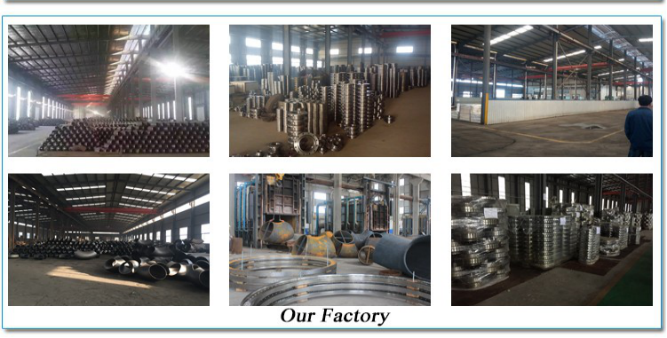 ASTM A182 F304/316/321 Collar/Loose Flanges Stainless Steel Slip on Flanges ANSI B16.47