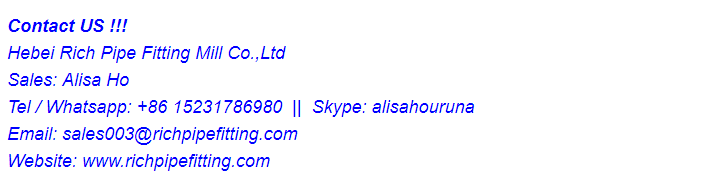 BL Flange Raising Face ANSI B16.5 Class 300 Forged Flange Blind Flange Black Painting