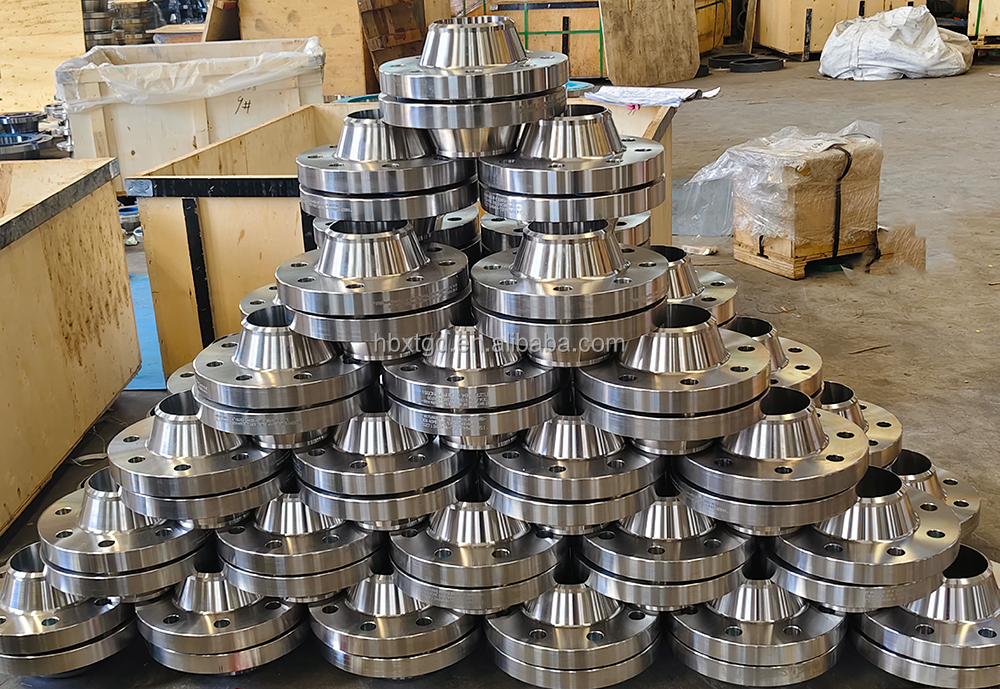 Forged Pipe Flanges