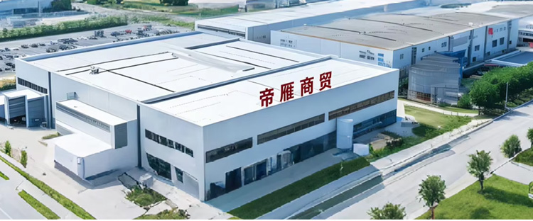 SHANDONG DIYAN TRADING LIMITED company overview