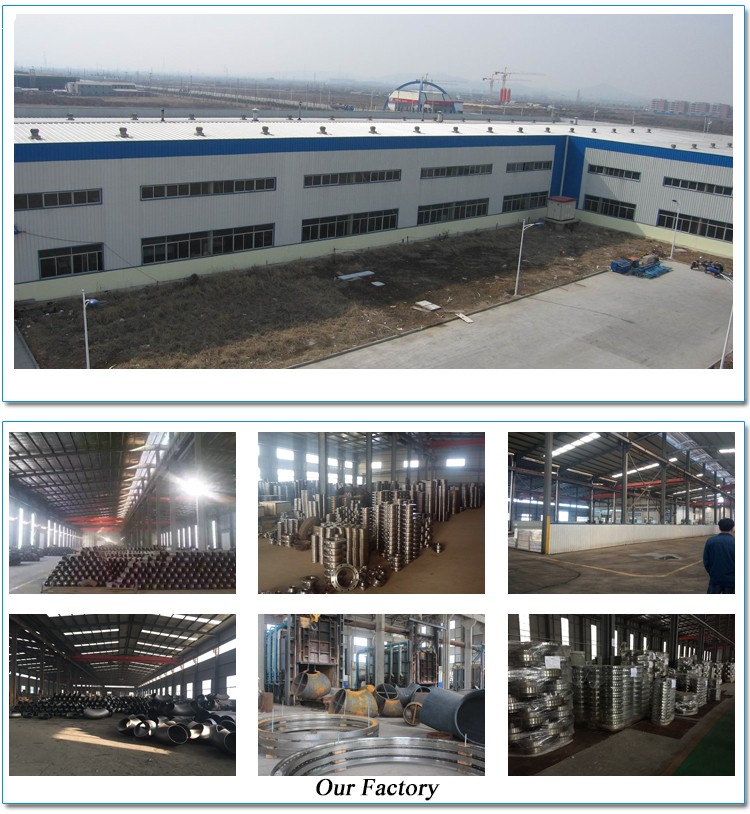 BL Flange Raising Face ANSI B16.5 Class 300 Forged Flange Blind Flange Black Painting