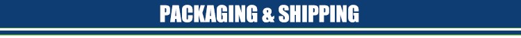 BL Flange Raising Face ANSI B16.5 Class 300 Forged Flange Blind Flange Black Painting